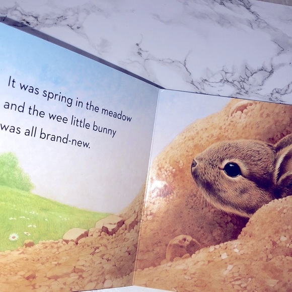 Little Bunny kids book - Picture 3 of 10
